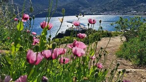 Un paysage côtier avec des montagnes en arrière-plan et des fleurs roses au premier plan.