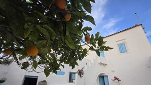 Un bâtiment blanc avec des volets bleus, un petit porche et un arbre aux oranges.
