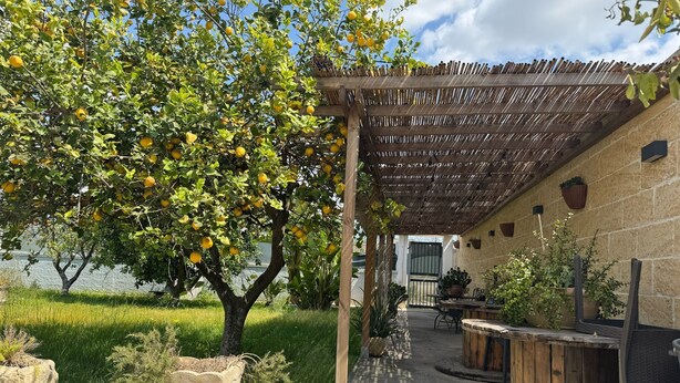 A covered patio area with a pergola, outdoor seating, and a tree with ripe lemons. - Dear Mary B&B (San Cesario di Lecce)