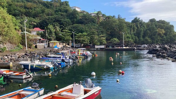 Marina - Attractive, modern, well-equipped bungalow in a peaceful natural setting with swimming pool (Vieux-Fort)