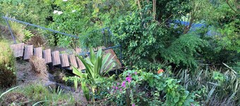 Attractive, modern, well-equipped bungalow in a peaceful natural setting with swimming pool