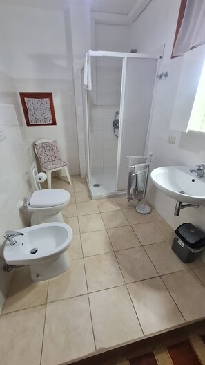 Shower, hair dryer, bidet, towels