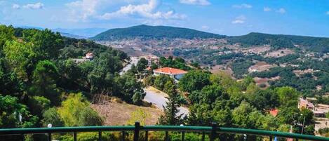 Vista panorámica desde un balcón con baranda de metal, sobre un valle con casas dispersas y vegetación.