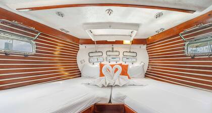 Private Sailboat. Walk to the beach & downtown