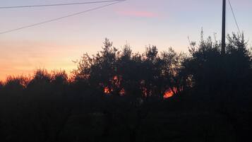 Un tramonto con le sagome di alberi e un palo della luce.
