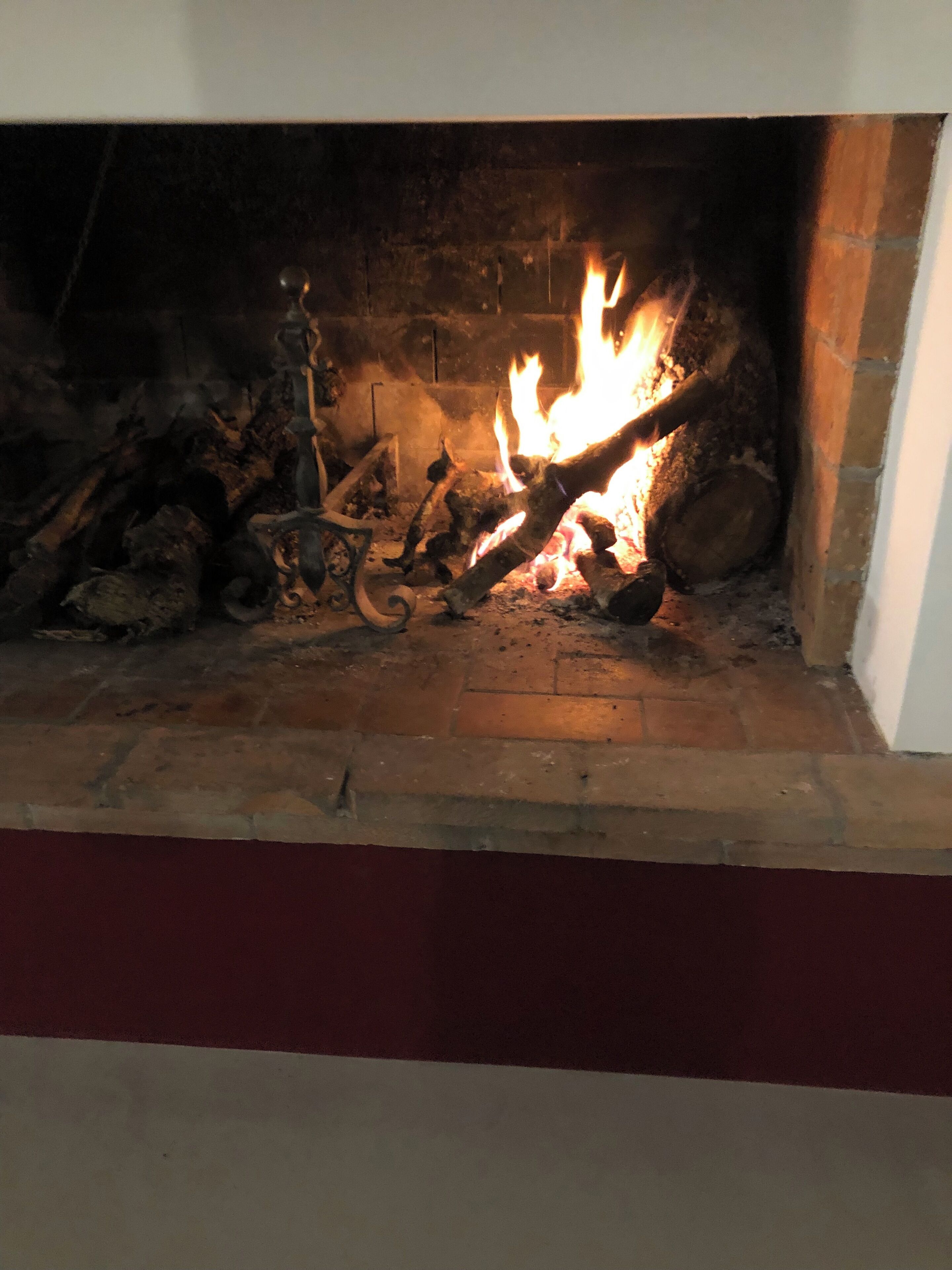 A fireplace with burning logs and a metal decorative piece.