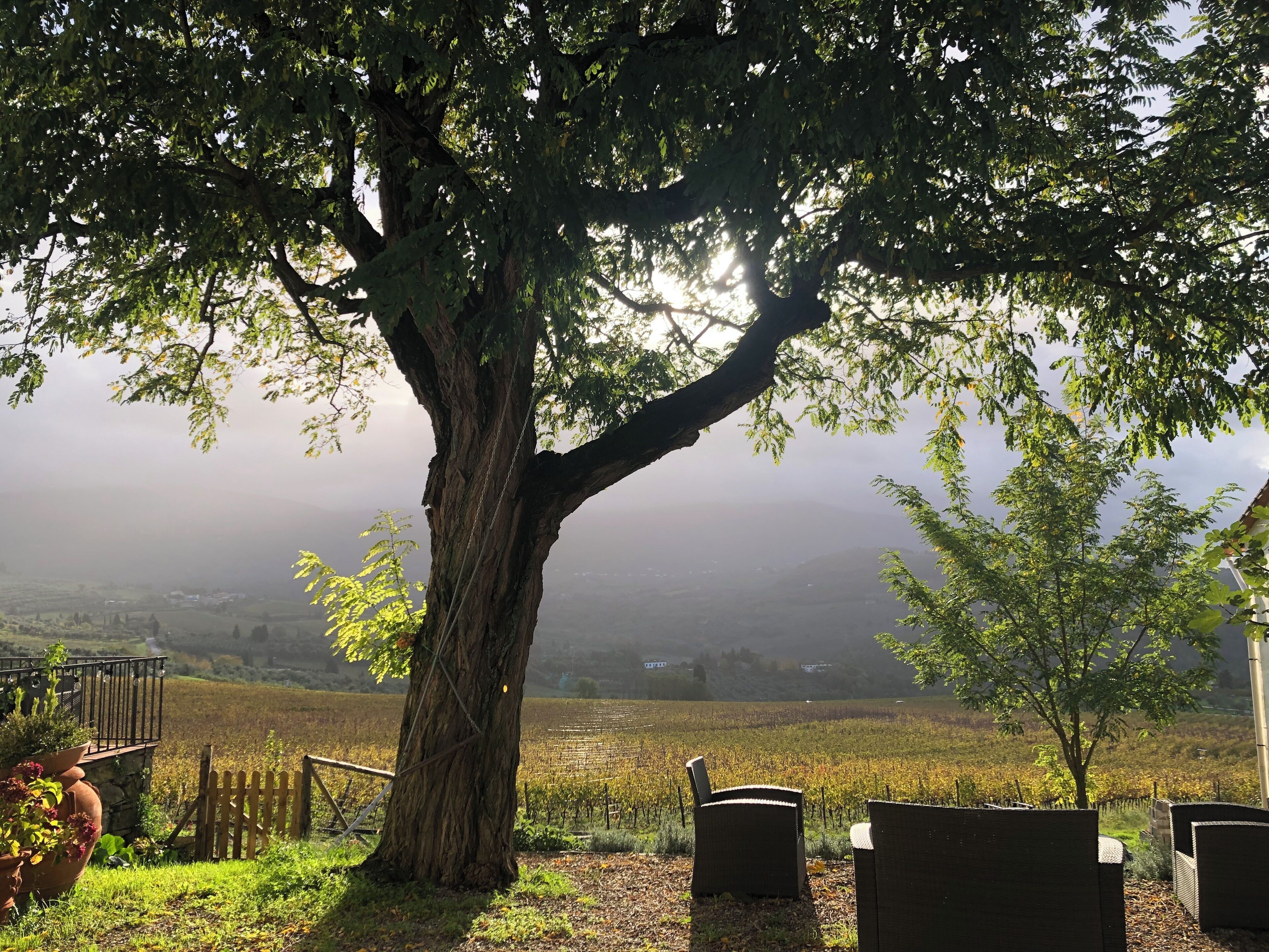 Jardines del alojamiento