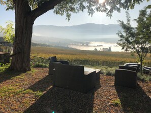 Property grounds - FARM IL POGGIOLINO (Pelago)