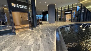 Uklassifisert bilde, 3 av 36, knapp