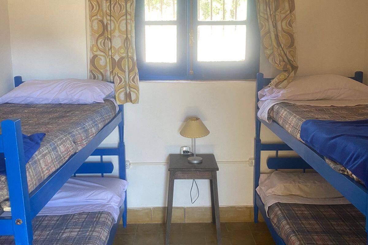 Classic Shared Dormitory