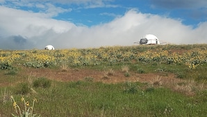 Un campo con dos estructuras blancas en forma de cúpula, rodeado de flores amarillas, bajo un cielo parcialmente nublado.