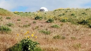 Un edificio de forma abovedada sobre una colina cubierta de hierba y flores silvestres.