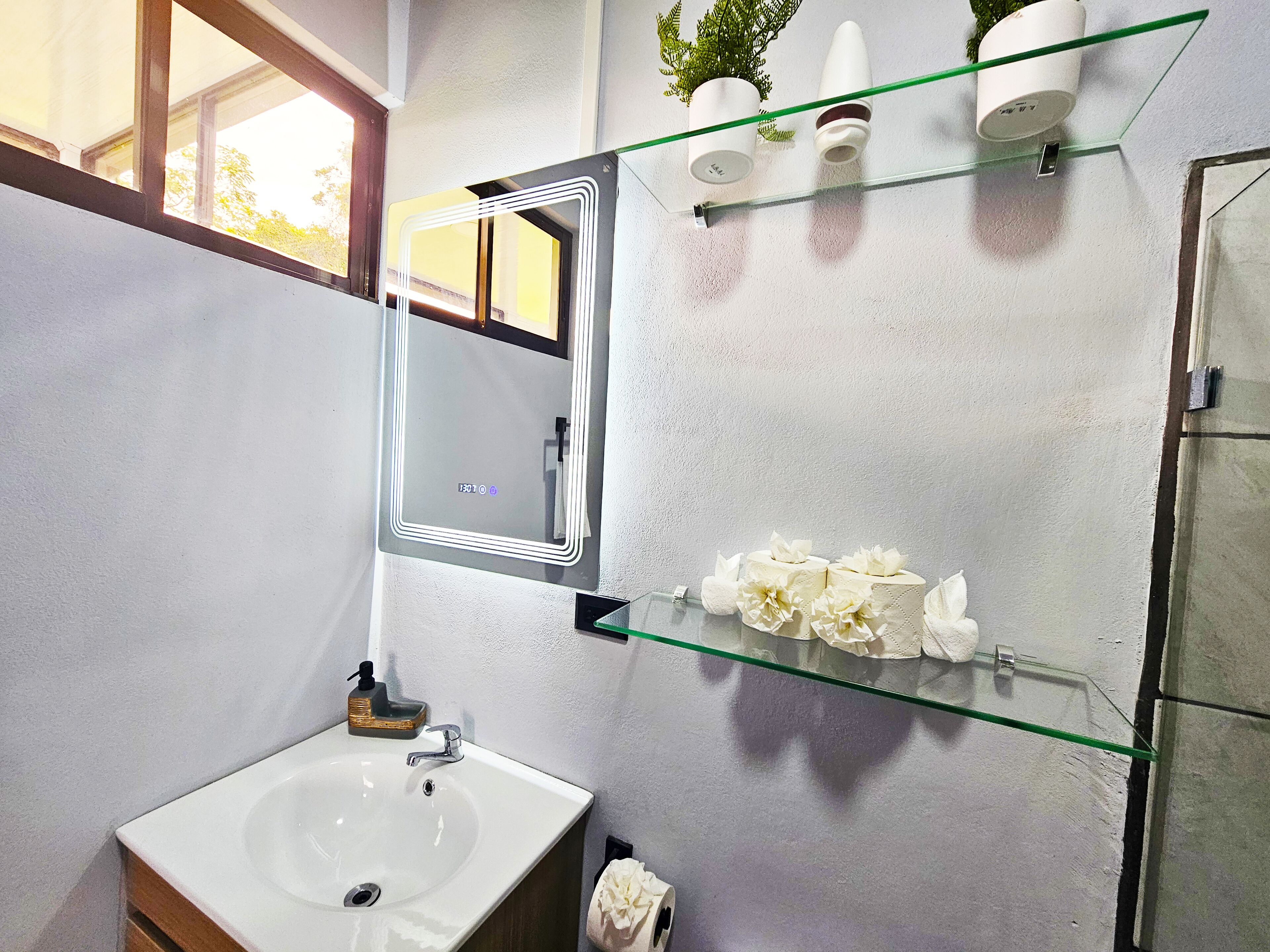 A bathroom with a white sink, a mirror, a glass shelf with toiletries, and a potted plant.