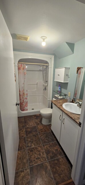 Shower, towels, soap, toilet paper