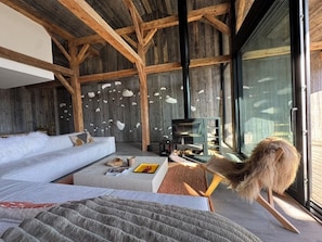Smart TV, fireplace