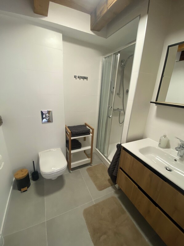 Hair dryer, towels, soap, toilet paper
