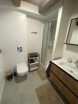 Hair dryer, towels, soap, toilet paper