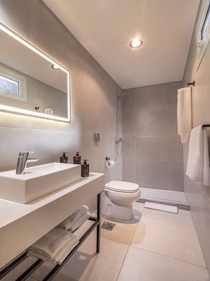 Classic Double Room | Bathroom | Shower, hair dryer, soap, shampoo