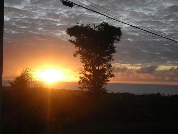 A sunset with a silhouette of a tree and power lines in the foreground.
