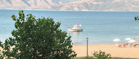 Basic Studio, Balcony, Garden View | View from room