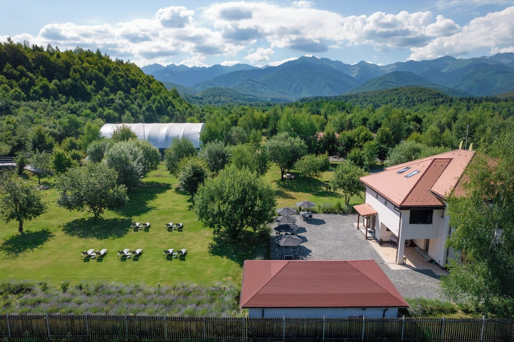 Pensiunea Negoiu