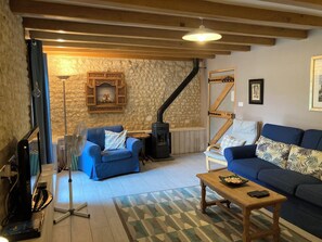 Tv, dvd-afspiller, bøger