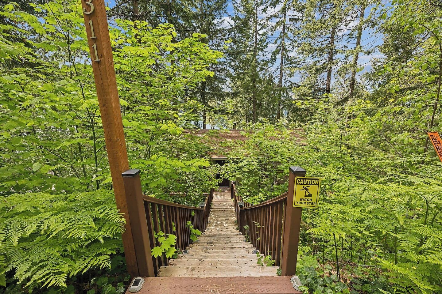 A wooden staircase surrounded by lush green ferns and trees, leading to a higher level.