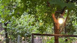 Un banc en bois avec une structure en métal, un hamac et une suspension lumineuse décorative, le tout installé dans un jardin.
