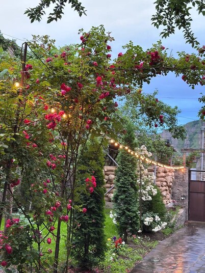 Narek B&B