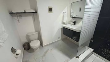 Room, 1 Bedroom, Accessible, Smoking | Bathroom