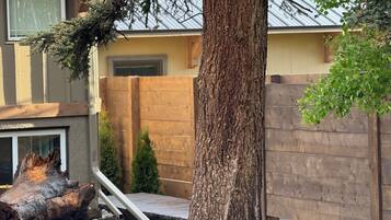 Área da propriedade