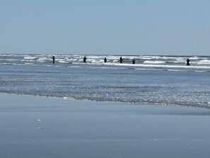 Plage, chaises longues, serviettes de plage