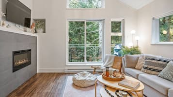 Télévision, cheminée, livres