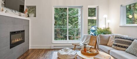 Televisión, chimenea y libros