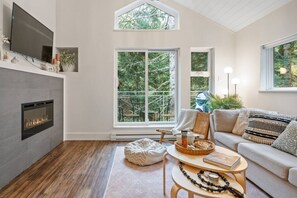 Télévision, cheminée, livres