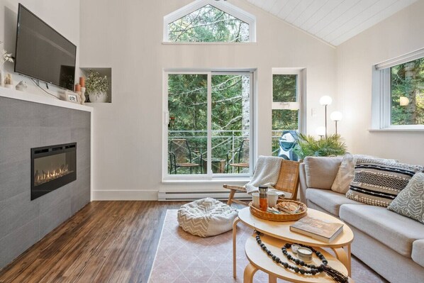 TV, fireplace, books