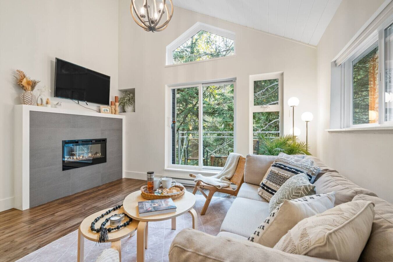 TV, fireplace, books