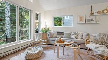 Télévision, cheminée, livres