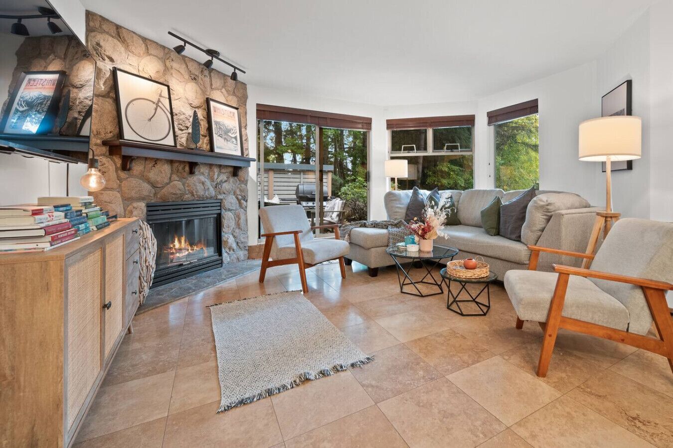 Télévision, cheminée, livres, chaîne hi-fi