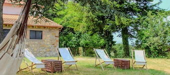 YogAyur Farm - Ficule