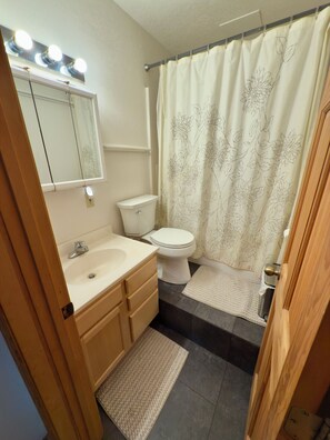 Hair dryer, towels, soap, toilet paper