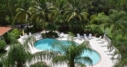 CORAL FALLS NEWLY REMODELED 6/25 Upscale, First-Floor Coastal Condo Lely Resort