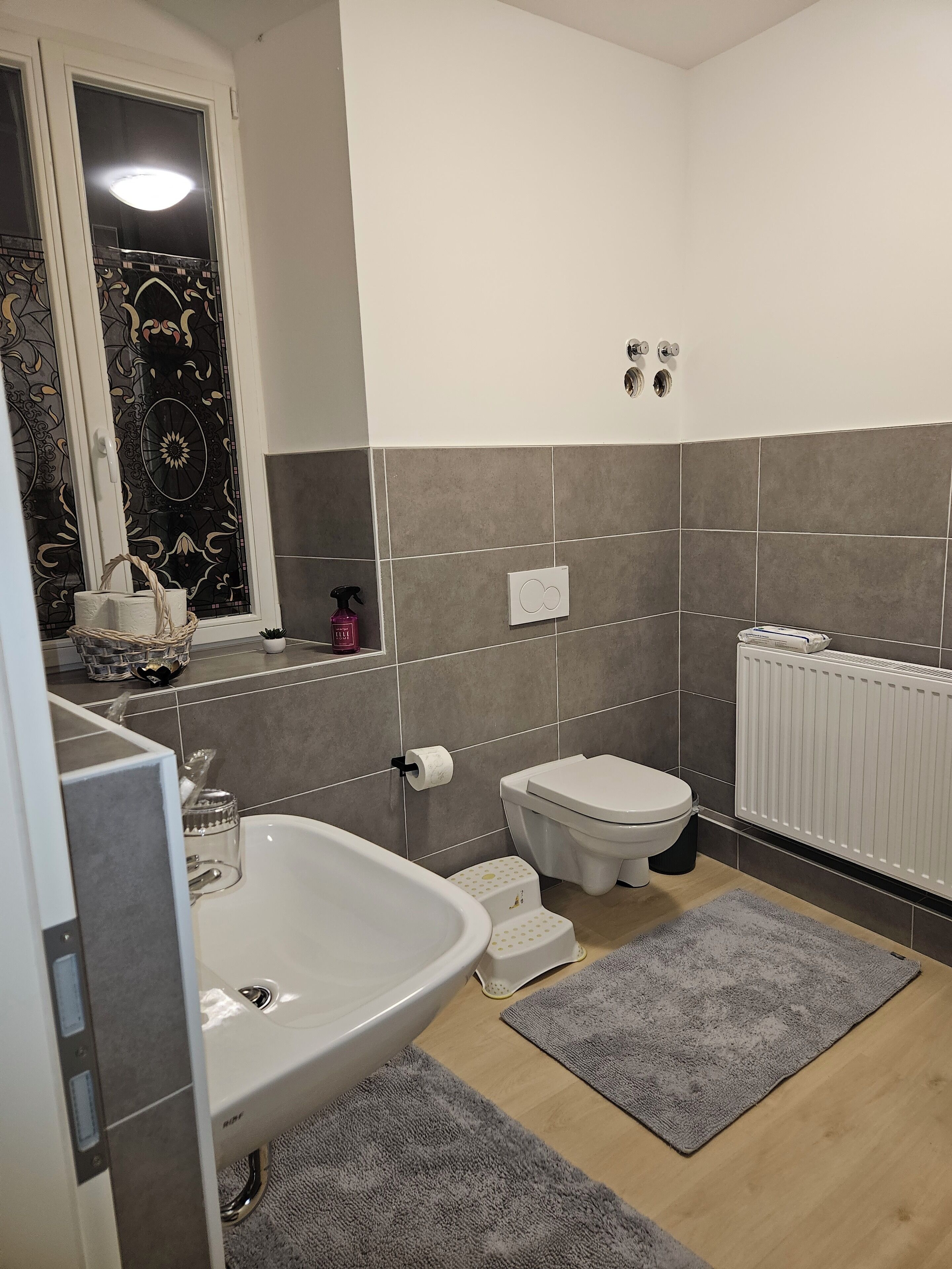 Haartrockner, Handtücher, Seife, Toilettenpapier