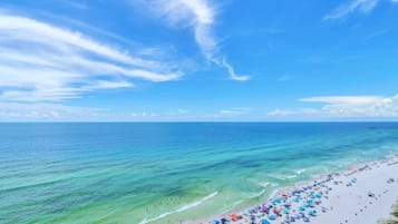 Studio, 1 King Bed (Majestic Beach Towers 1-1909) | Beach | On the beach