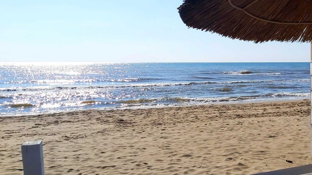 Une plage avec un parasol en chaume et un rivage sablonneux.