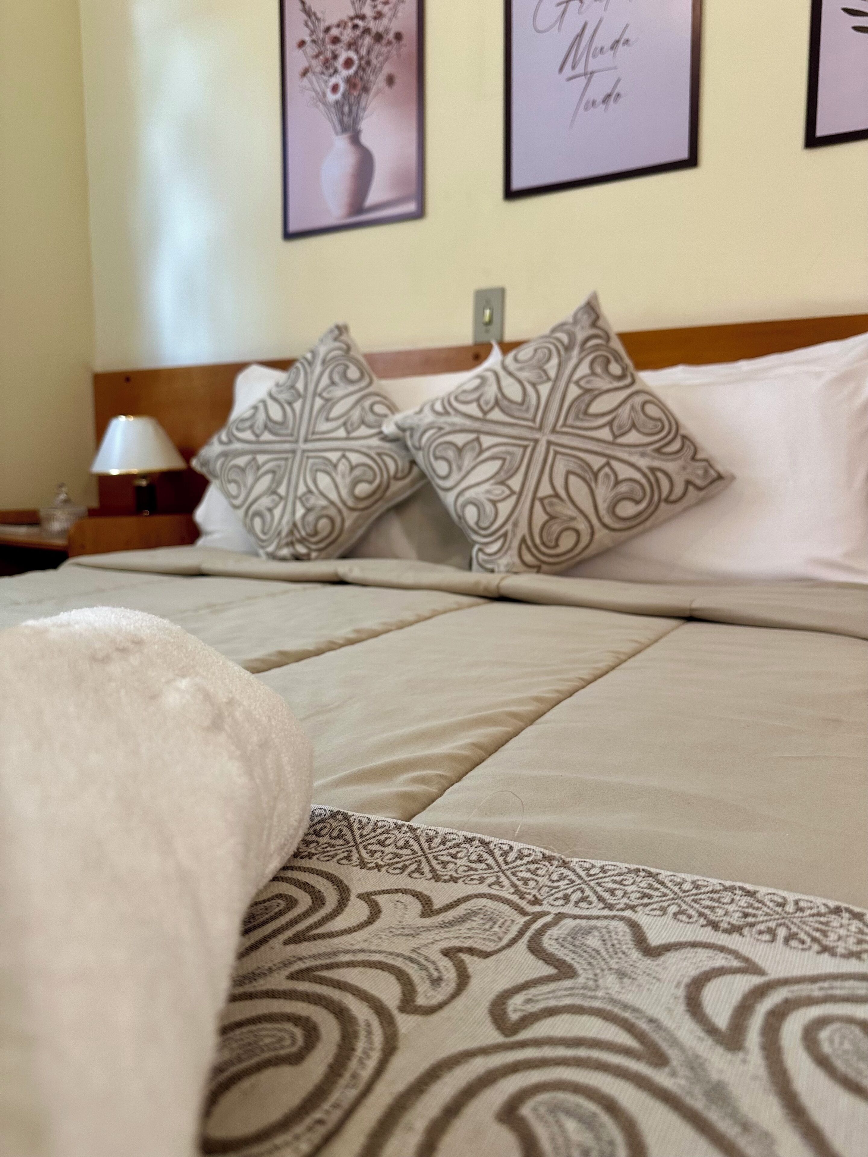 A bed with patterned pillows, a bedside table with a lamp, and framed artwork on the wall.
