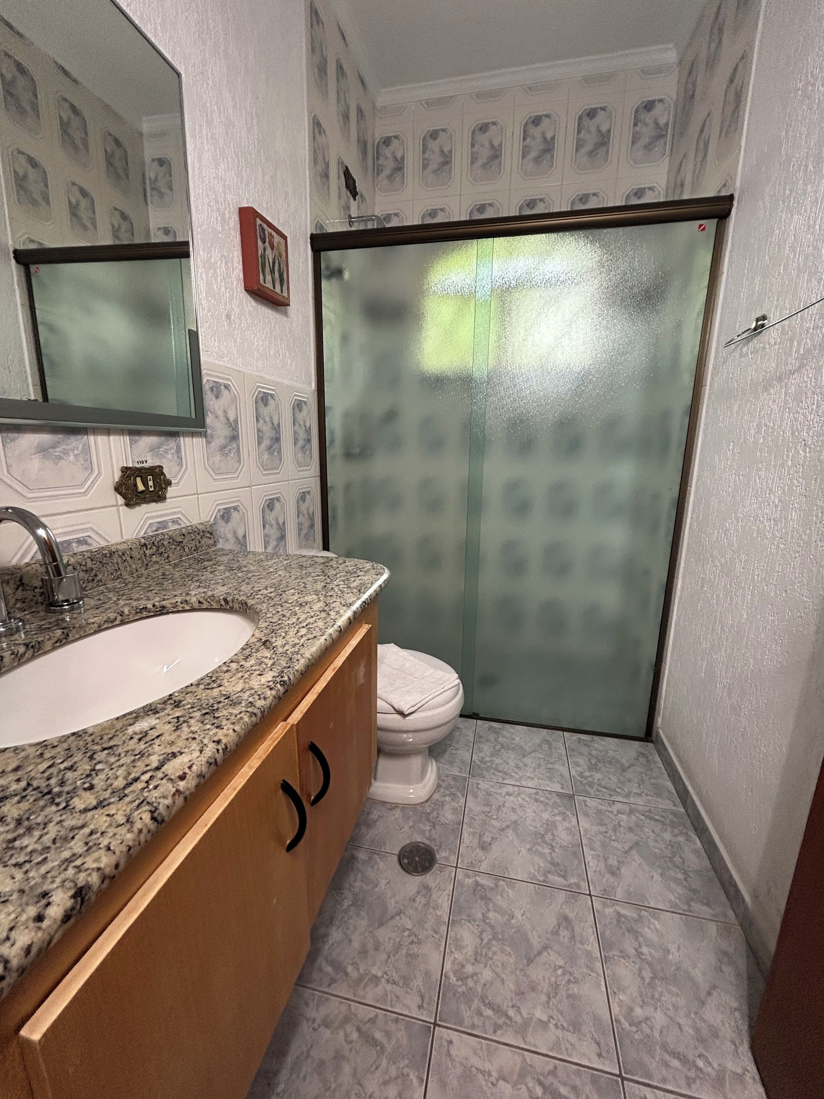 A bathroom with a granite countertop sink, wooden cabinets, a white toilet, and a frosted glass shower door.