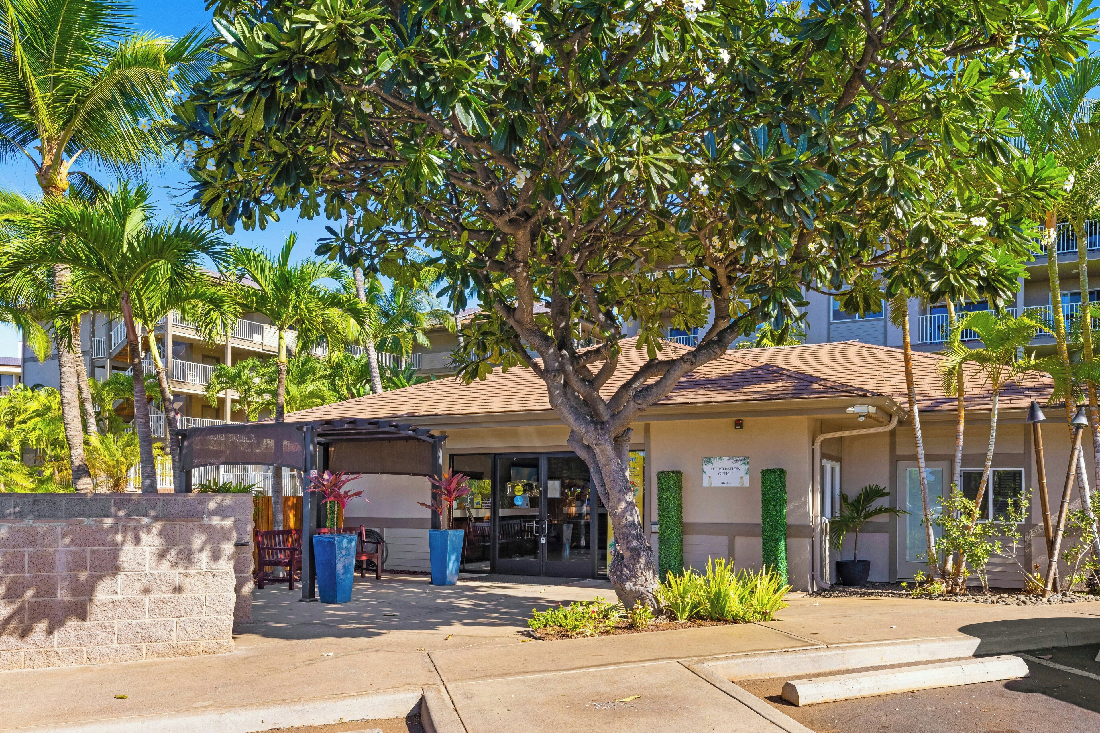 Un hotel con entrada cubierta, palmeras y un edificio con balcones.