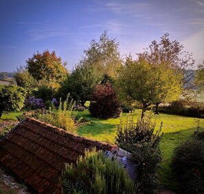 Área da propriedade