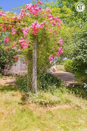 Terrein van de accommodatie